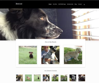 Homepage