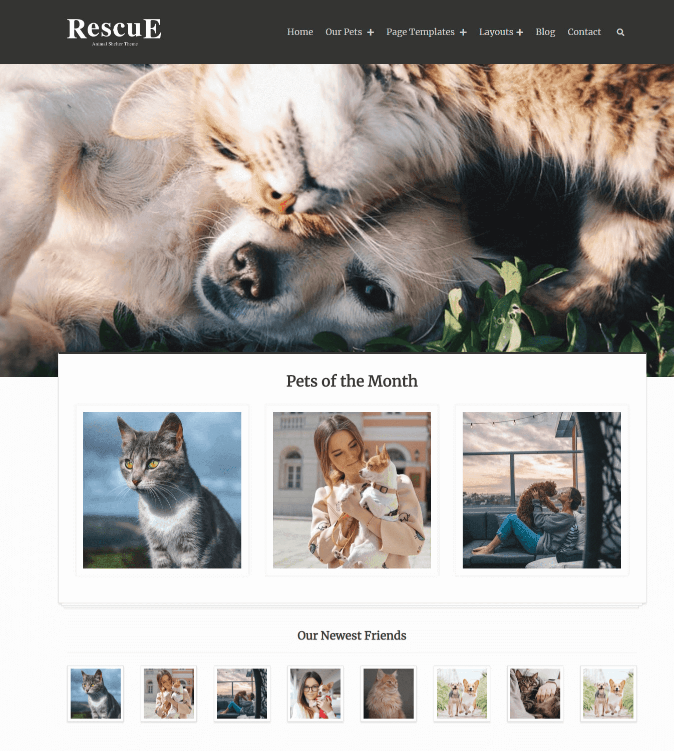 Rescue Home