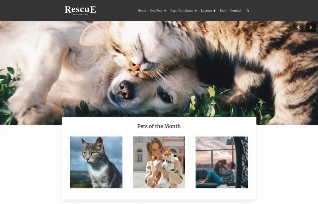 rescue.webp
