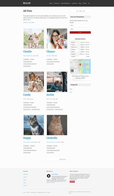 Rescue Pets All