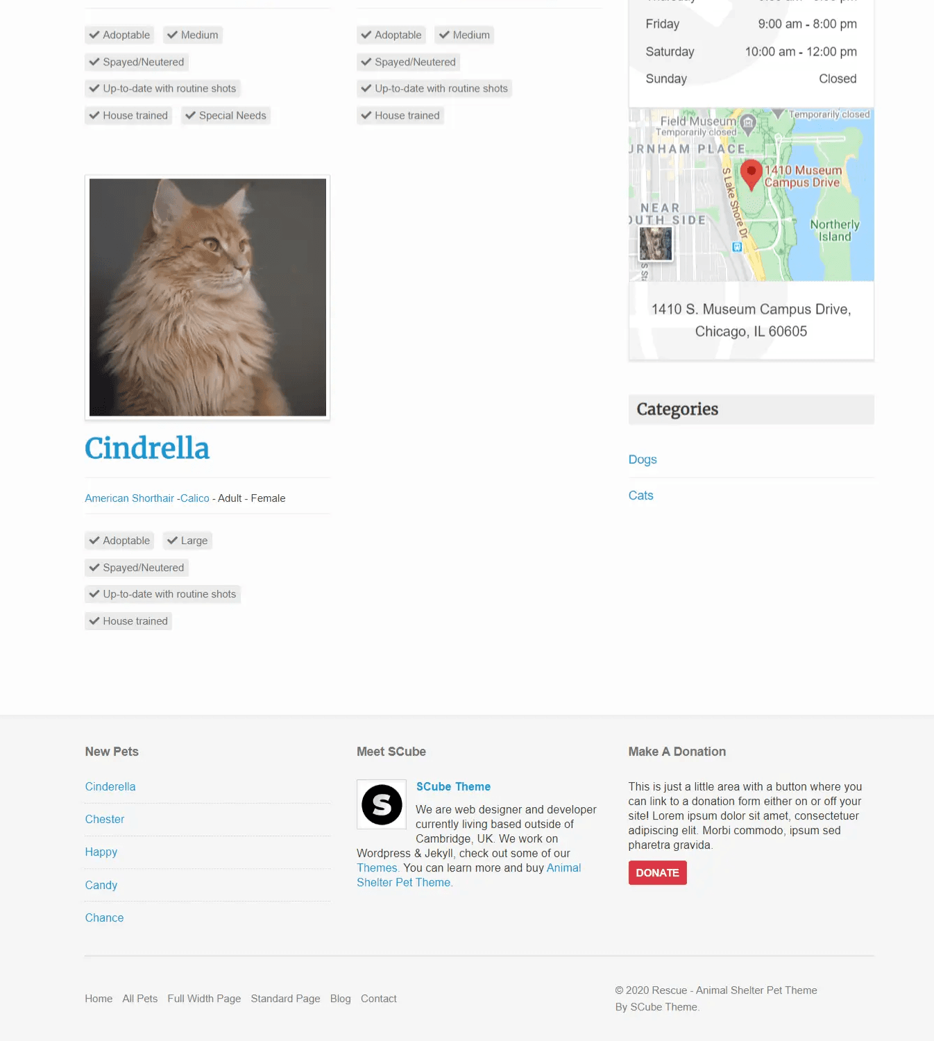 Rescue Pets Cats